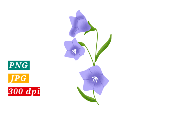 Download Purple Flowers. Transparent Png. - Premium Resources