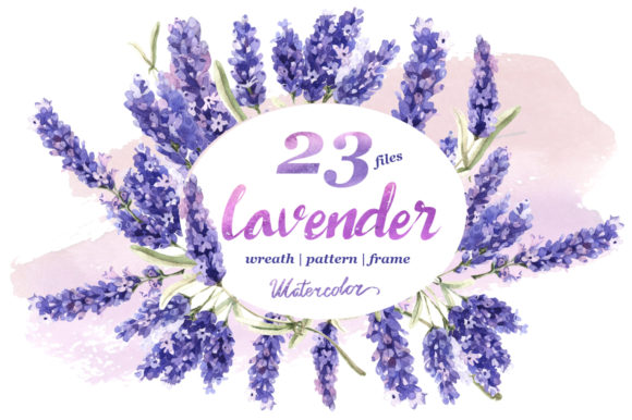 Download Lavender Flowers in Watercolor - Premium Bundle